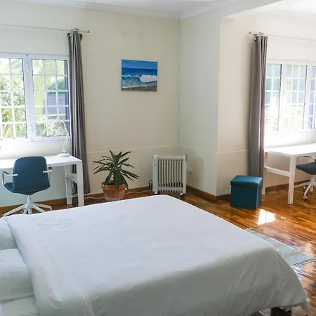 Lava Acores Coliving & Coworking Ribeira Grande Exterior photo