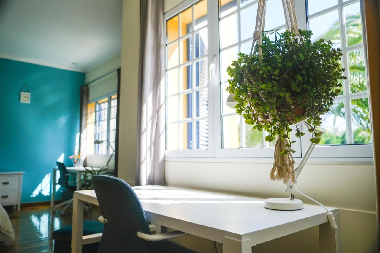 Lava Acores Coliving & Coworking Quarto em Acomodações Particulares Ribeira Grande